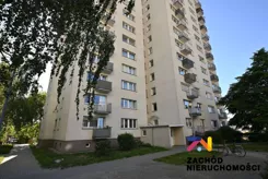 166730227 - zdjęcie nr 2