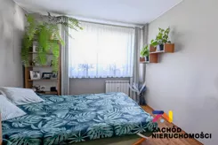 168550227 - zdjęcie nr 5