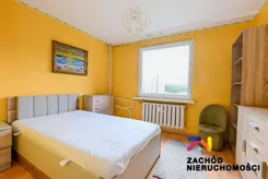 168370227 - zdjęcie nr 2