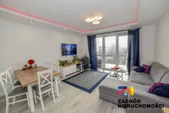 168620227 - zdjęcie nr 0