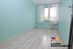 166840227 - zdjęcie nr 2