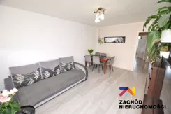 167370227 - zdjęcie nr 2