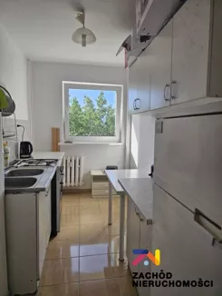 168340227 - zdjęcie nr 1