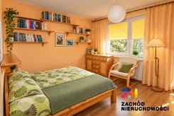 168720227 - zdjęcie nr 2