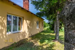 312852 - zdjęcie nr 0