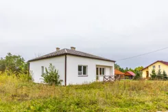981255 - zdjęcie nr 2