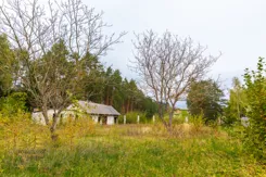 981255 - zdjęcie nr 3