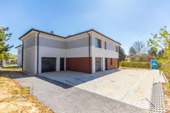 151410 - zdjęcie nr 1