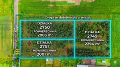 948635 - zdjęcie nr 1
