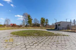 587539 - zdjęcie nr 1