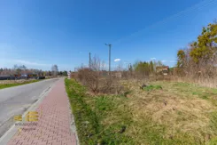 587539 - zdjęcie nr 2