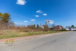 587539 - zdjęcie nr 3