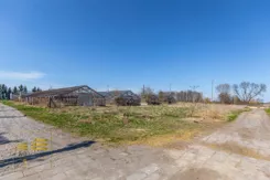 947857 - zdjęcie nr 2