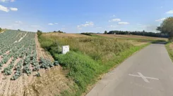 592816 - zdjęcie nr 0