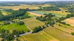 115090 - zdjęcie nr 0