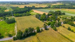 115090 - zdjęcie nr 2