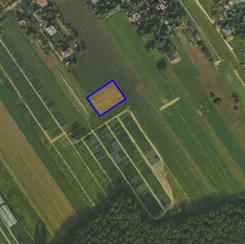 588612 - zdjęcie nr 3