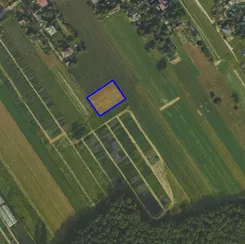 214385 - zdjęcie nr 3