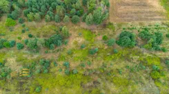 205630 - zdjęcie nr 2