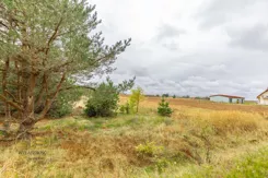 205630 - zdjęcie nr 4