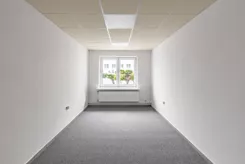 721248944 - zdjęcie nr 0