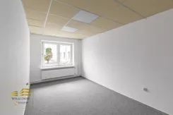 310985341 - zdjęcie nr 1
