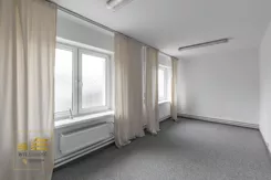 310985341 - zdjęcie nr 2