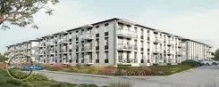 815315 - zdjęcie nr 1