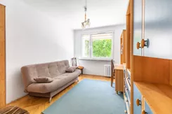 917403 - zdjęcie nr 1