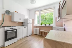 917403 - zdjęcie nr 3