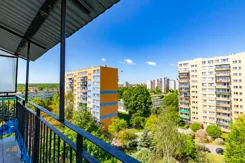 216351 - zdjęcie nr 3