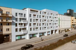 Dolna Górna Wilda - zdjęcie nr 4