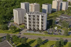 Karliczka - zdjęcie nr 4