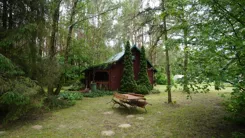 2591 - zdjęcie nr 3