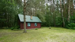 2591 - zdjęcie nr 4