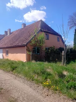 2593 - zdjęcie nr 2