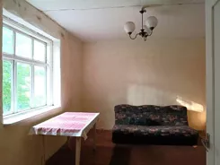 2594 - zdjęcie nr 2