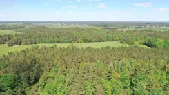 2162 - zdjęcie nr 4
