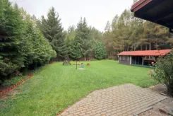 2464 - zdjęcie nr 4