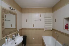 2518 - zdjęcie nr 3