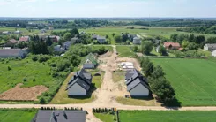 2504 - zdjęcie nr 3