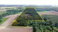 2657 - zdjęcie nr 3