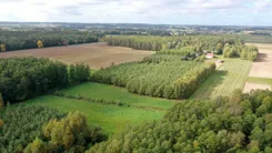 2658 - zdjęcie nr 2