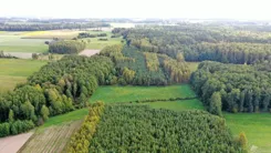2658 - zdjęcie nr 4