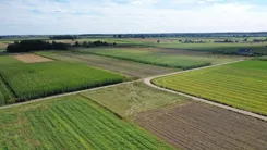 2438 - zdjęcie nr 3
