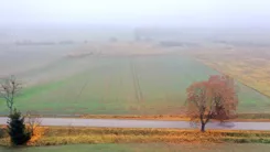 2471 - zdjęcie nr 3