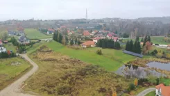 2477 - zdjęcie nr 3
