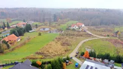 2541 - zdjęcie nr 3