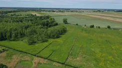 2578 - zdjęcie nr 3