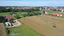 2637 - zdjęcie nr 3